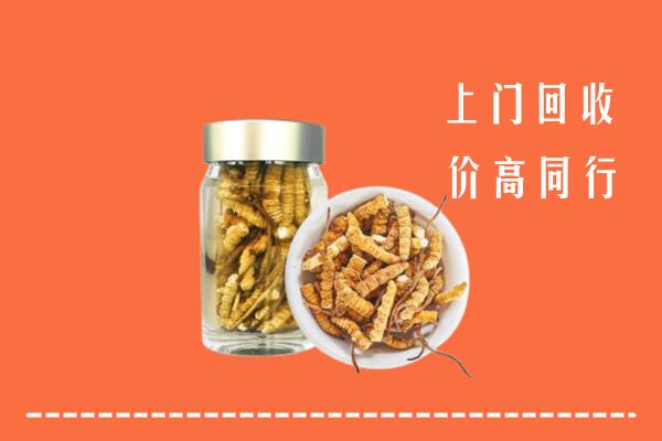 丹凤县回收冬虫夏草